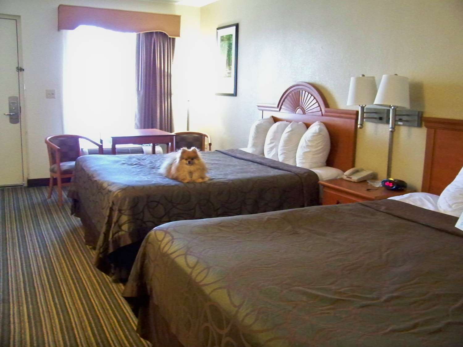Best Western Of Мерфи Экстерьер фото